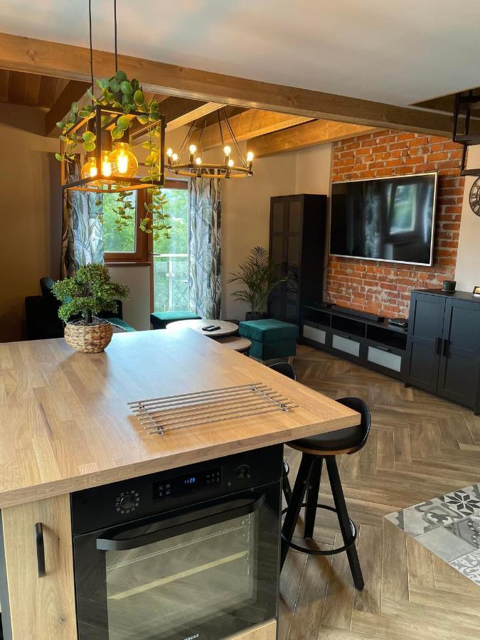 Miejscowka - Z Widokiem Na Gory - Bezplatny Parking Apartmán Zakopane